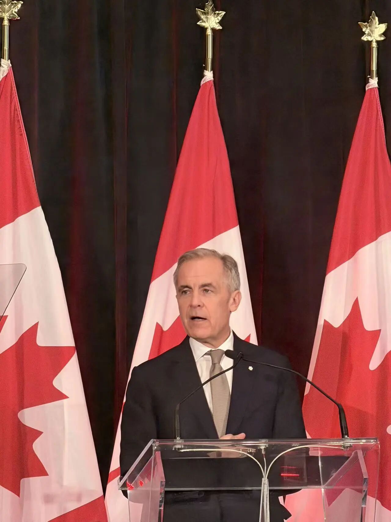 1775009467622842.jpg 8.jpg